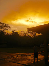 Silhouette of trees at sunset