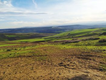 Scenic view of field against sky