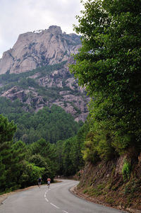 Scenic view of tree mountains against sky