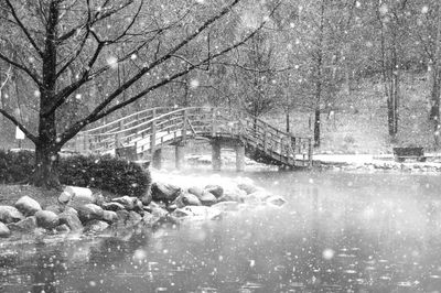 View of bare trees on snow covered landscape