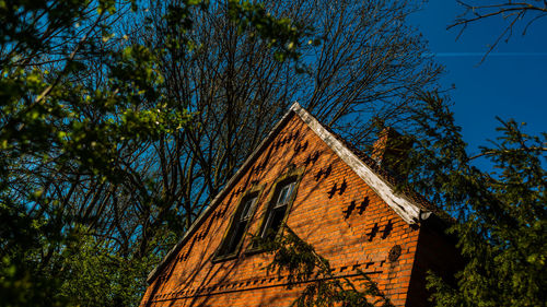 Low angle view of trees and building against sky