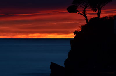 Silhouette tree by sea against sky during sunset