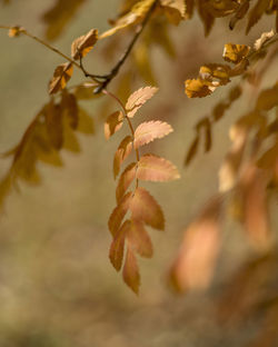 Autumn landscape photography the colors of autumn.