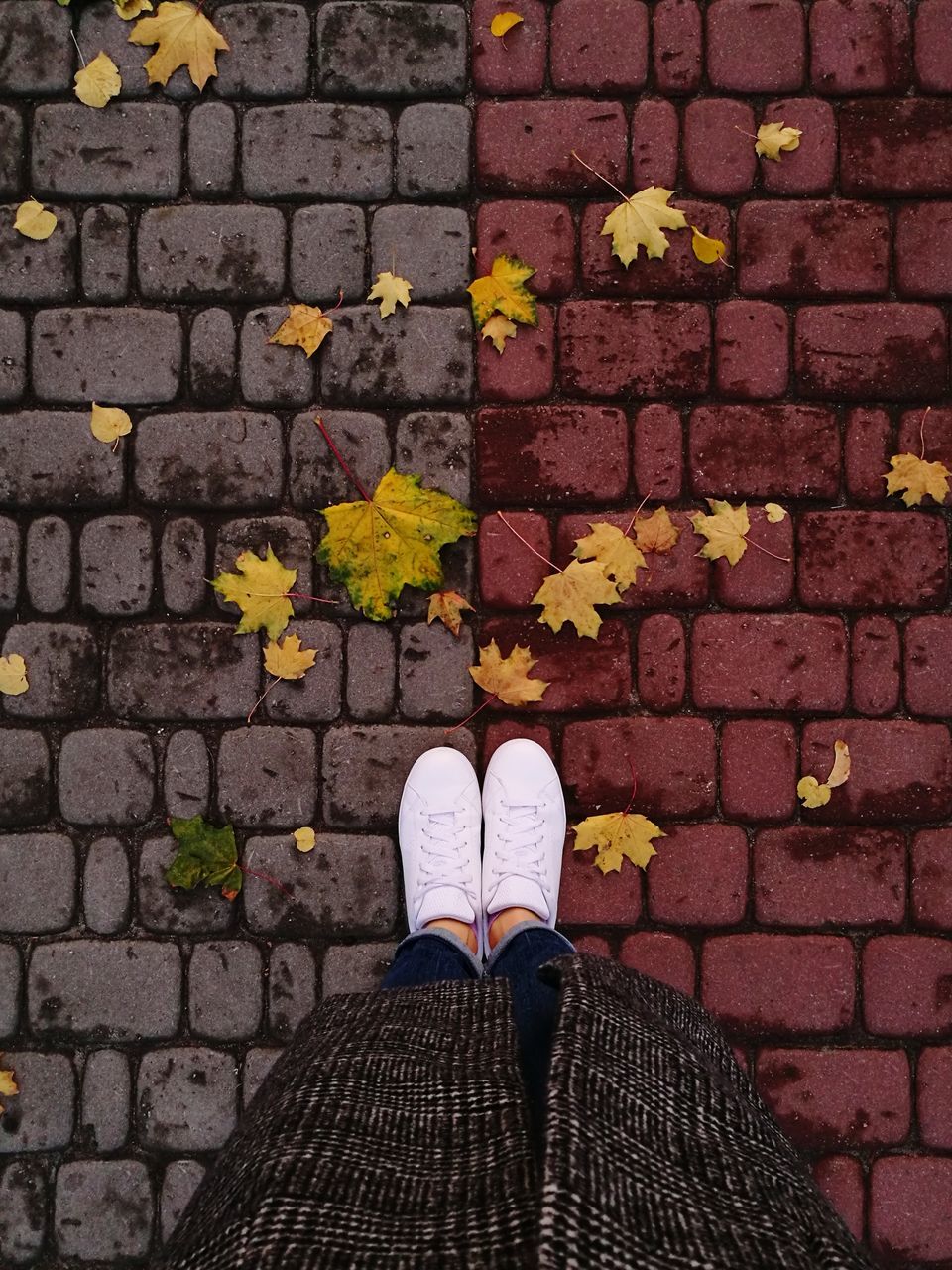 human leg, low section, personal perspective, standing, shoe, real people, one person, flower, human foot, high angle view, day, outdoors, human body part, nature, people