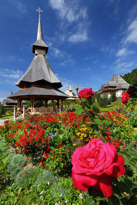 Low angle wide shot of garden surrounding monastery against blue sky