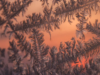 Scenic view of snow during sunset