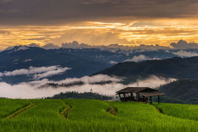 Scenic view of field against sky during sunset