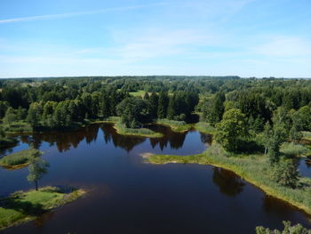 Reflection of trees in calm lake against blue sky