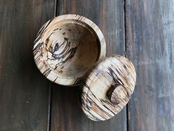 Close-up of snail on wood