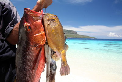 Midsection of man holding dead fish at beach against sky during sunny day