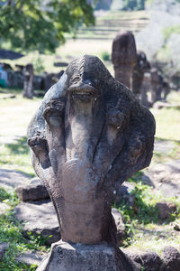 Close-up of old statue against trees