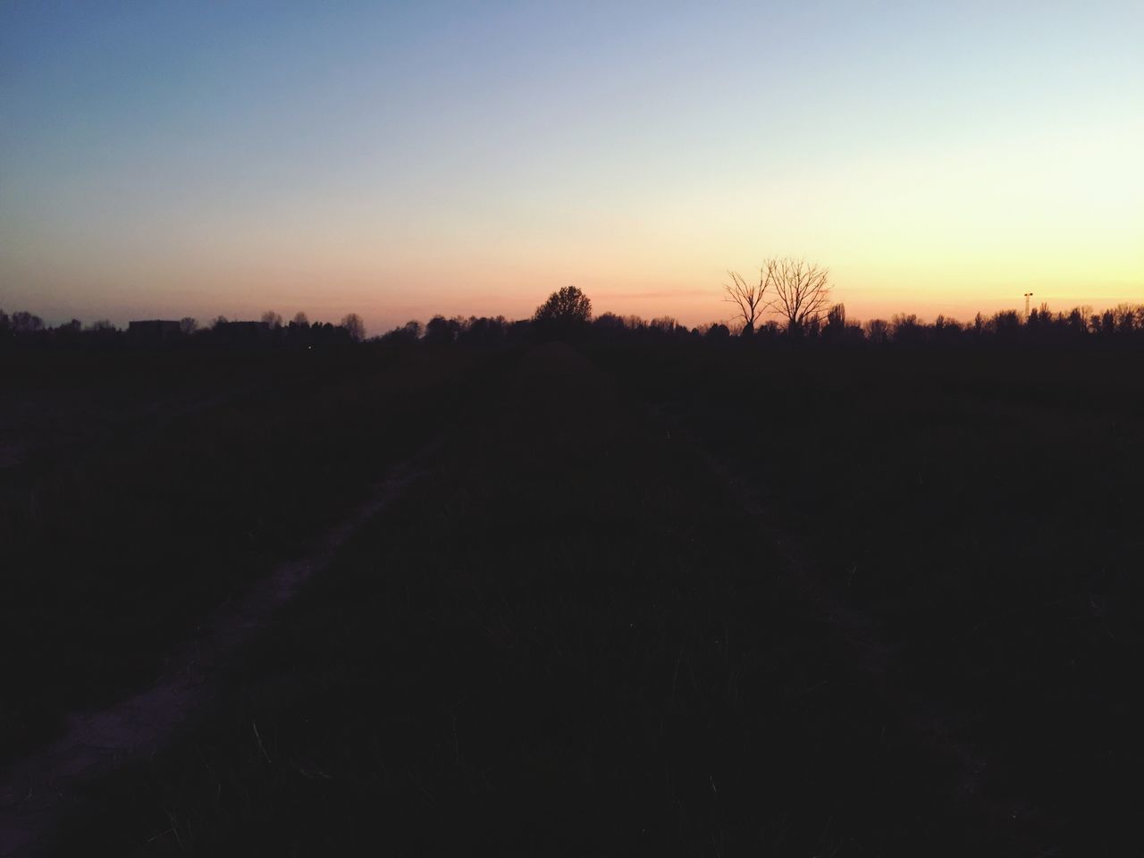 SILHOUETTE TREES ON FIELD AGAINST SKY AT SUNSET