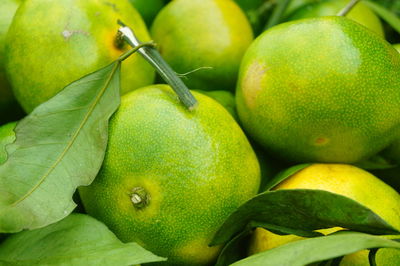 Full frame shot of oranges in market