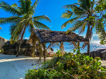 Palm trees by sea against sky