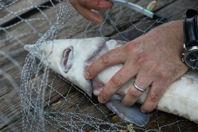 Midsection of man holding fish