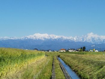 Road amidst field against clear sky