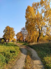 Road amidst trees against sky during autumn