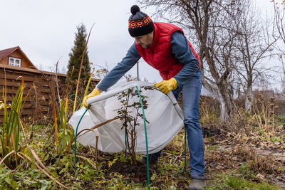 Winter protection for garden, winter shelter for garden plants, shelter rhododendrons