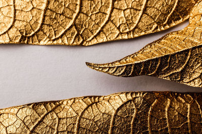 Directly above shot of ornate paper over white background