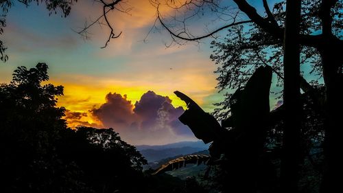 Silhouette trees against sky during sunset