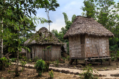 Abandoned hut by trees against sky