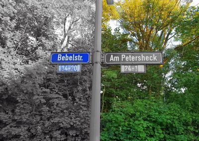 Road sign by trees