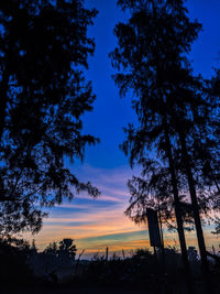 Low angle view of silhouette trees against sky during sunset