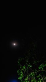 Low angle view of tree against sky at night