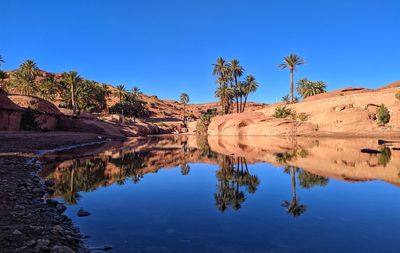 Reflection of palm trees in lake against blue sky