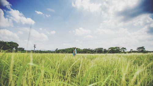 Scenic view of grassy field against sky