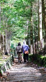 Rear view of man and woman walking in forest