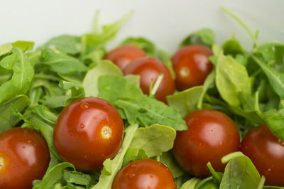 Close-up of tomatoes and spinach in container