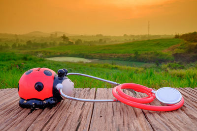 Red toy car on field against sky during sunset