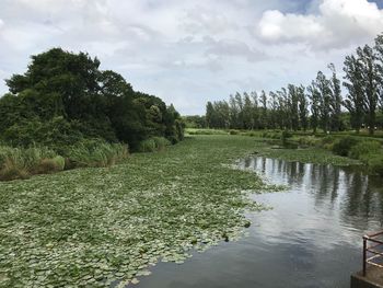 Scenic view of pond against sky