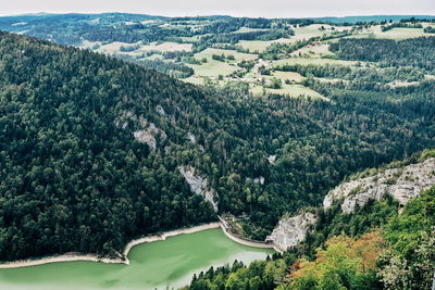 High angle view of river amidst trees in forest