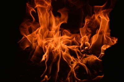 Close-up of bonfire at night
