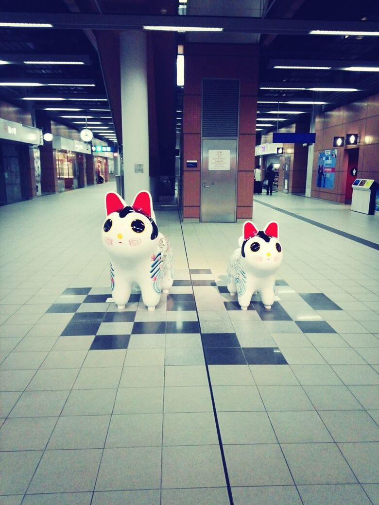 dog, indoors, pets, domestic animals, animal themes, toy, one animal, illuminated, white color, portrait, full length, built structure, architecture, flooring, looking at camera, sitting, no people, incidental people, animal representation, transportation