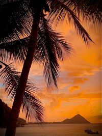 Palm tree by sea against sky during sunset