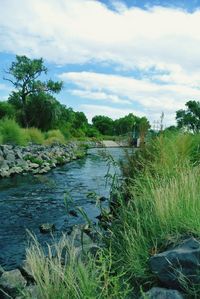 Scenic view of river against cloudy sky