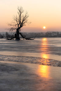 Scenic view of snow covered landscape against sky during sunset