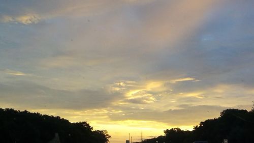 Low angle view of silhouette trees against sky during sunset