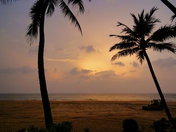 Silhouette palm tree on beach against sky during sunset