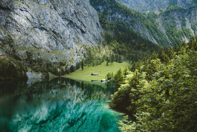 Scenic view of river amidst trees in forest