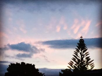 Low angle view of silhouette tree against sky at sunset