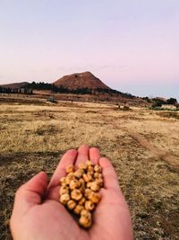 Midsection of person holding bread on land against sky