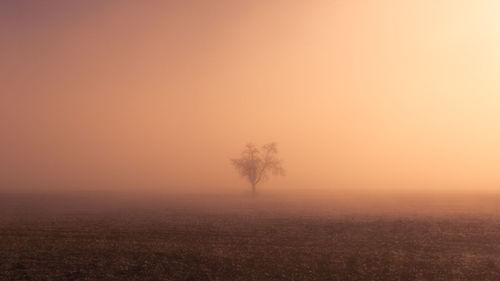 Scenic view of field against sky during sunset