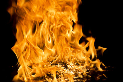 Close-up of bonfire at night