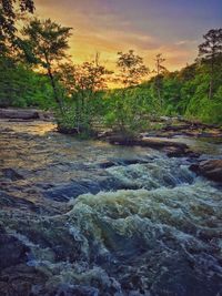 Surface level of river flowing in forest against sky