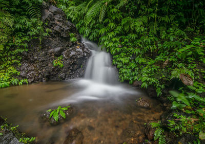 Scenic view of waterfall