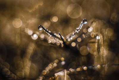 Defocused image of illuminated christmas lights